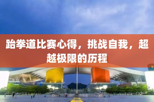跆拳道比賽心得，挑戰(zhàn)自我，超越極限的歷程