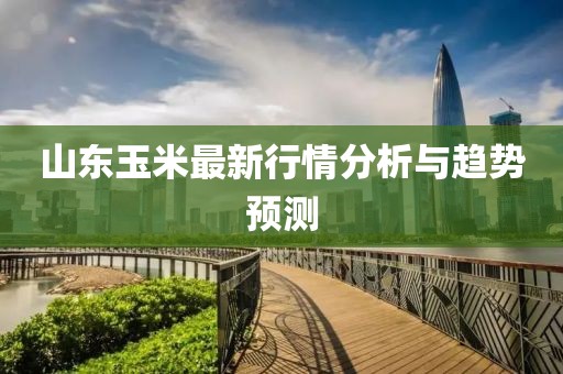 山東玉米最新行情分析與趨勢預(yù)測