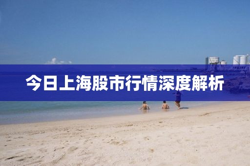 今日上海股市行情深度解析