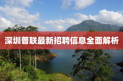 深圳普聯(lián)最新招聘信息全面解析