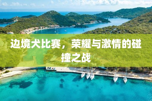 邊境犬比賽，榮耀與激情的碰撞之戰(zhàn)