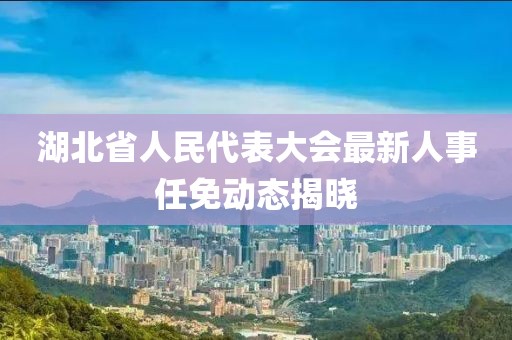 湖北省人民代表大會最新人事任免動態(tài)揭曉