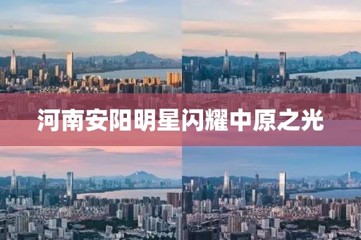 河南安陽明星閃耀中原之光