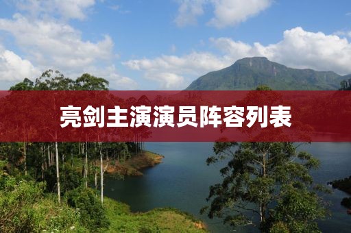 亮劍主演演員陣容列表