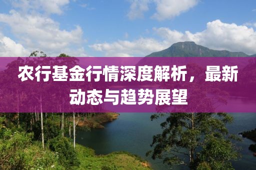 農(nóng)行基金行情深度解析，最新動態(tài)與趨勢展望