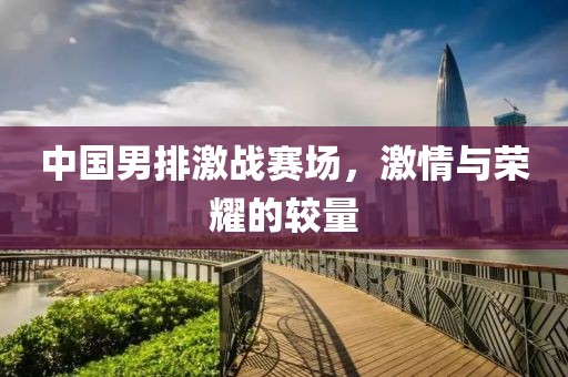 中國男排激戰(zhàn)賽場，激情與榮耀的較量
