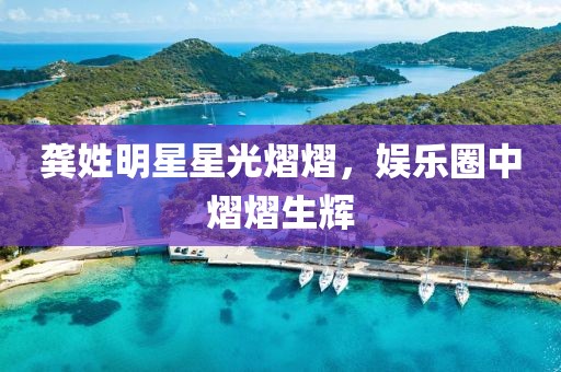 龔姓明星星光熠熠，娛樂(lè)圈中熠熠生輝