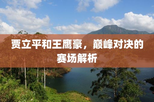 賈立平和王鷹豪，巔峰對(duì)決的賽場(chǎng)解析