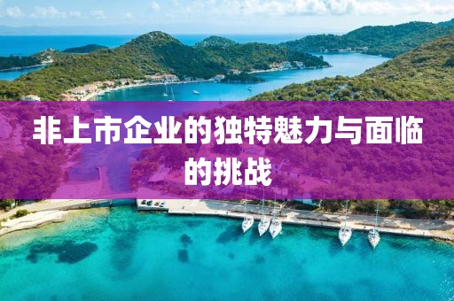非上市企業(yè)的獨特魅力與面臨的挑戰(zhàn)