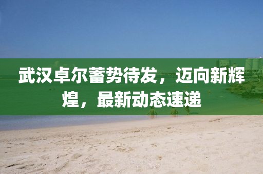武漢卓爾蓄勢(shì)待發(fā)，邁向新輝煌，最新動(dòng)態(tài)速遞