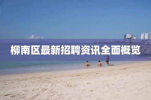 柳南區(qū)最新招聘資訊全面概覽