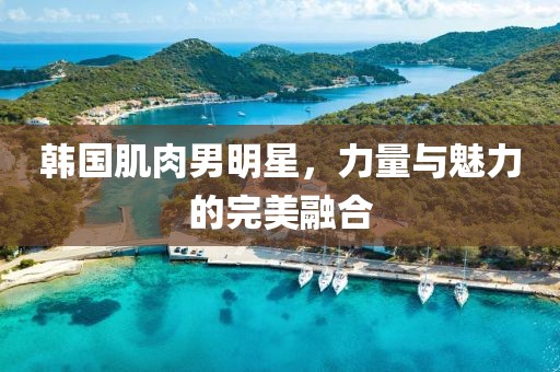 韓國肌肉男明星，力量與魅力的完美融合
