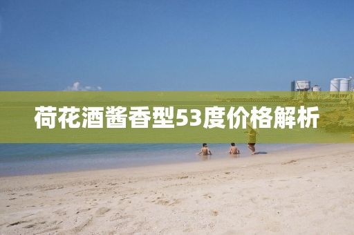 荷花酒醬香型53度價格解析