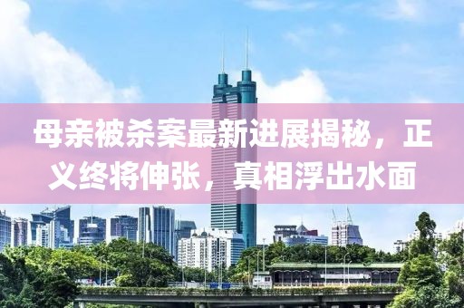 母親被殺案最新進展揭秘，正義終將伸張，真相浮出水面