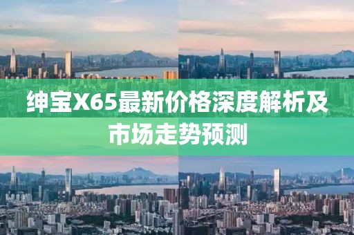 紳寶X65最新價(jià)格深度解析及市場(chǎng)走勢(shì)預(yù)測(cè)