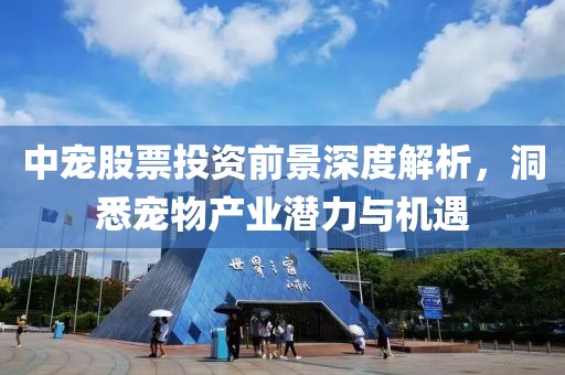 中寵股票投資前景深度解析，洞悉寵物產(chǎn)業(yè)潛力與機(jī)遇
