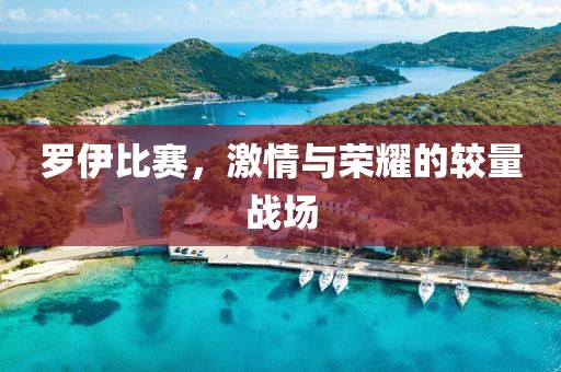 羅伊比賽，激情與榮耀的較量戰(zhàn)場