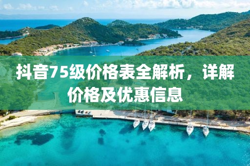 抖音75級價格表全解析，詳解價格及優(yōu)惠信息