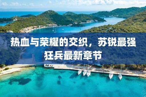 熱血與榮耀的交織，蘇銳最強狂兵最新章節(jié)