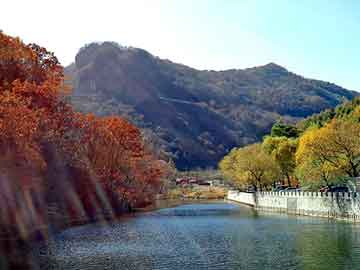 探索未來(lái)商業(yè)發(fā)展前沿，最新?tīng)I(yíng)銷(xiāo)趨勢(shì)解析