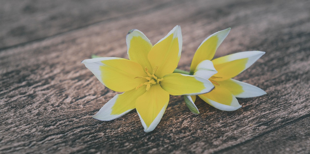 湖南永州最新資訊概覽，永州動(dòng)態(tài)一網(wǎng)打盡
