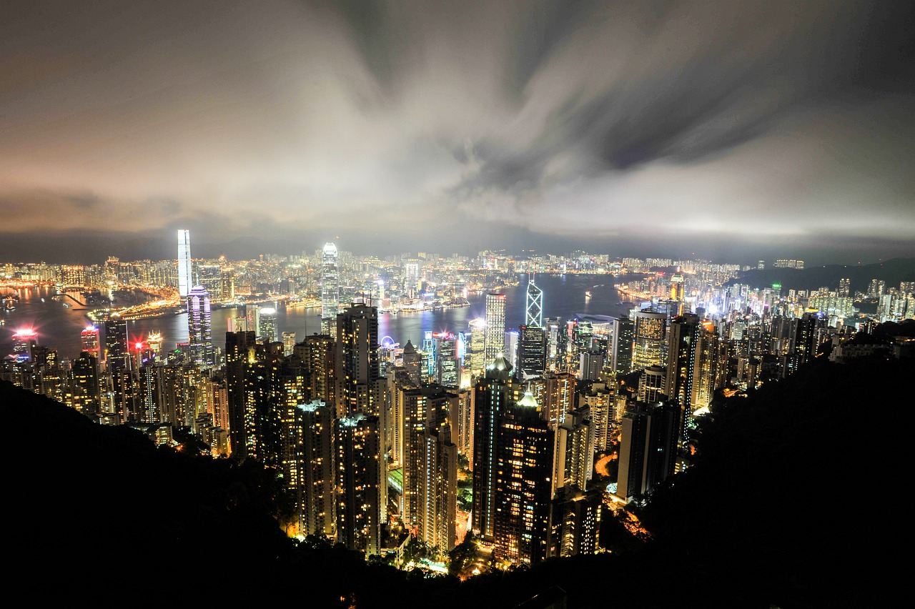 寵物市場(chǎng)最新行情概覽與趨勢(shì)分析