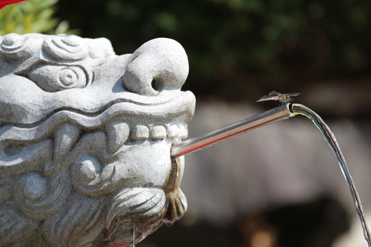 惠來縣葵潭鎮(zhèn)蓬勃發(fā)展新面貌的最新動(dòng)態(tài)
