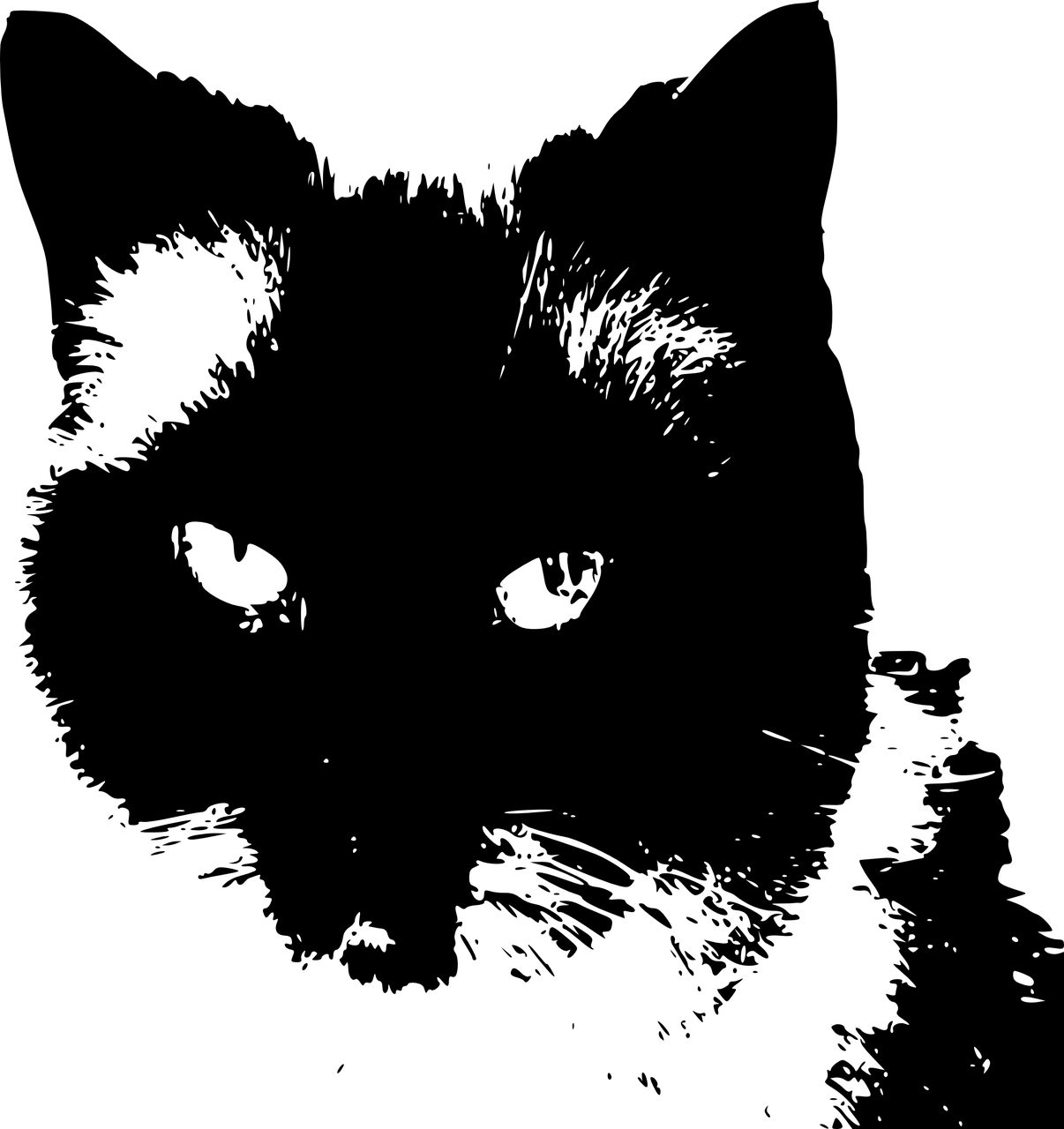 探索最新黑色背景設(shè)計(jì)趨勢的潮流魅力