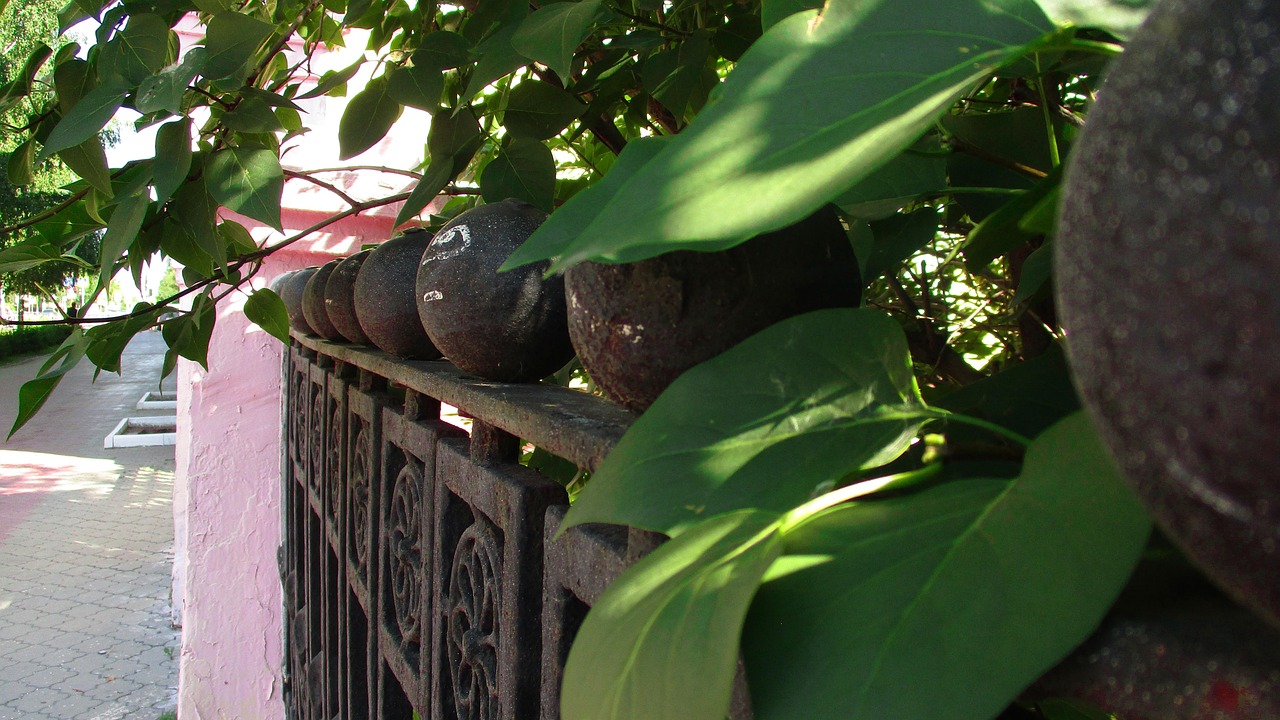 廣州最新疫情動(dòng)態(tài)，全面應(yīng)對(duì)，守護(hù)城市安全安全戰(zhàn)正在進(jìn)行