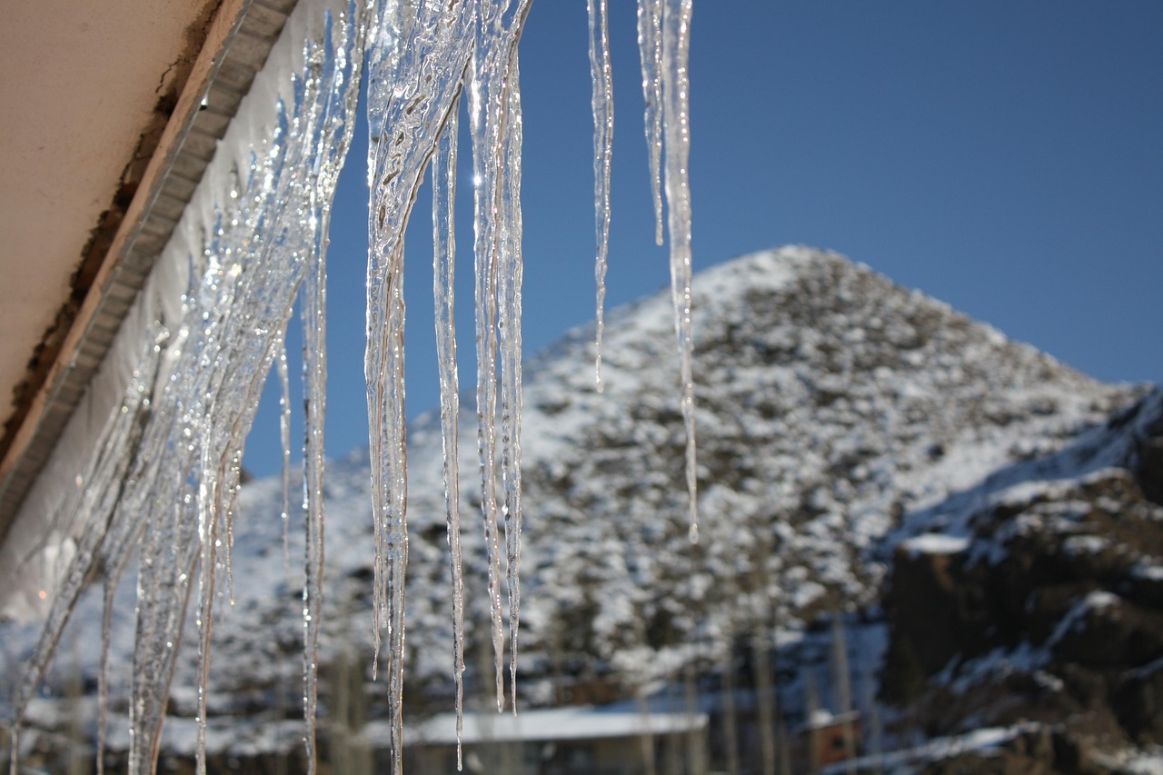 電影林海雪原演員表概覽
