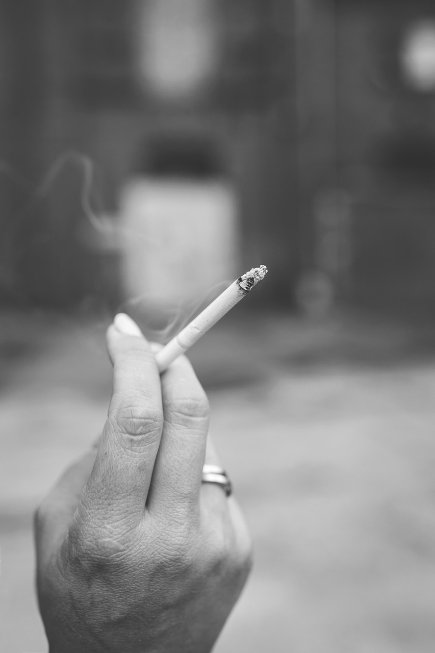 煙的世界揭秘，種類繁多的煙草與價格百態(tài)