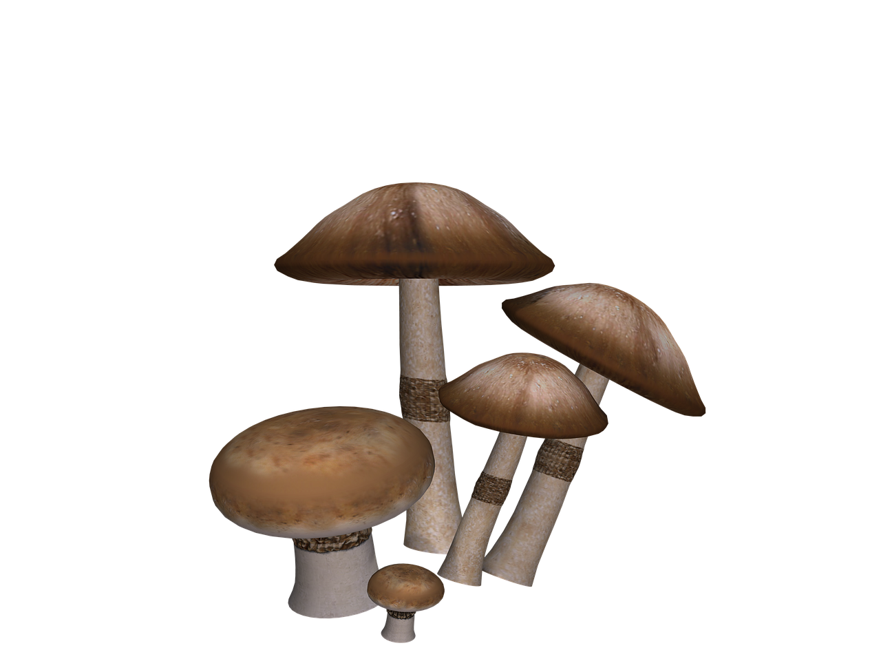 數(shù)字時(shí)代下的隔離動(dòng)態(tài)資訊觀察與應(yīng)對(duì)策略