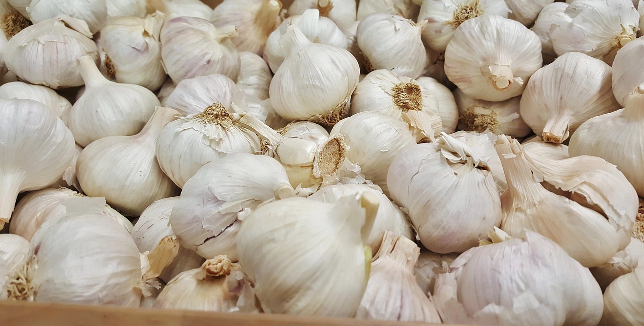 南京大蒜價(jià)格最新行情及分析