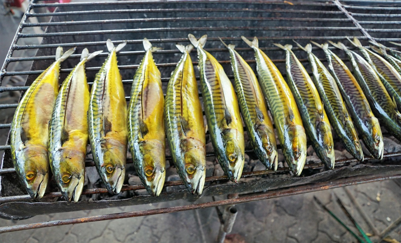 牛養(yǎng)殖創(chuàng)新動(dòng)態(tài)，技術(shù)與管理的深度融合引領(lǐng)行業(yè)新趨勢(shì)