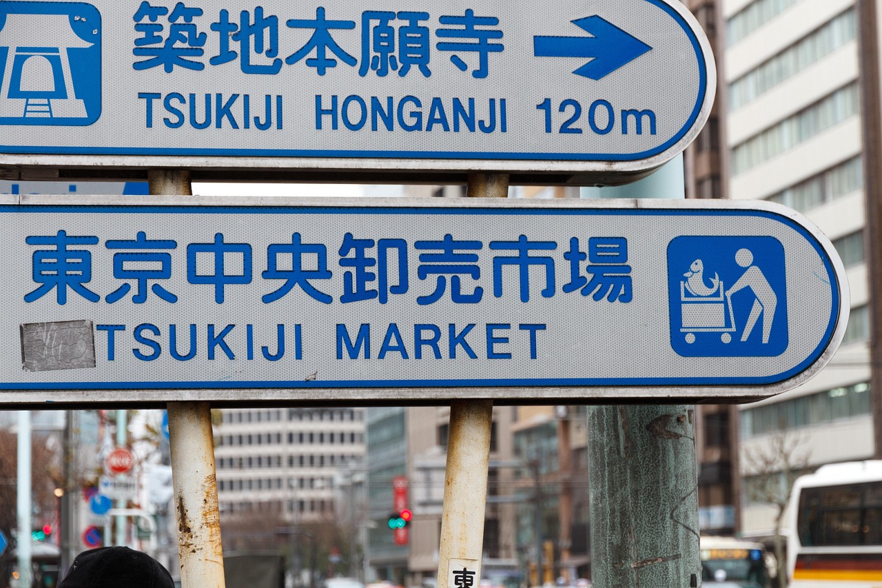 東京熱辣新動(dòng)態(tài)揭秘，繁華都市的脈搏與生活節(jié)奏四溢的魅力展現(xiàn)
