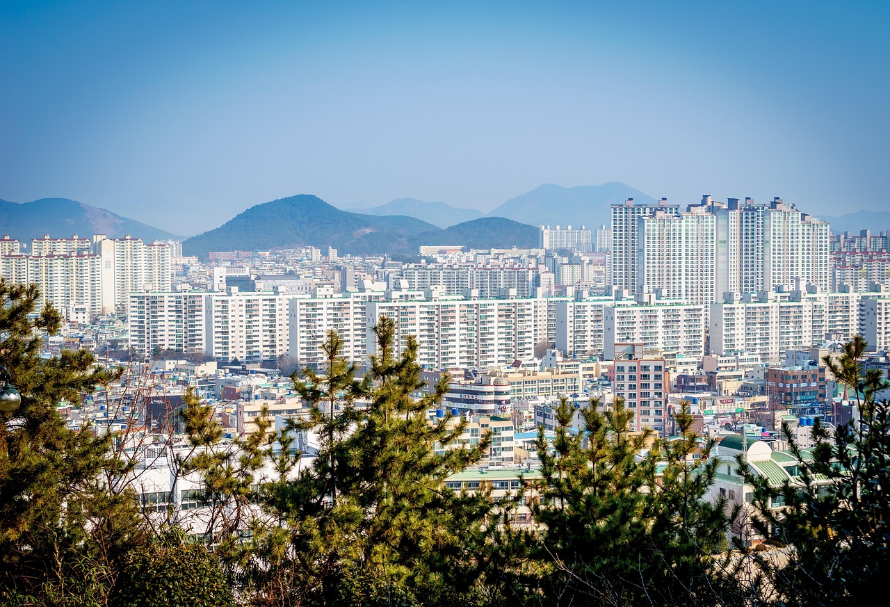 岳陽市區(qū)最新城市規(guī)劃設(shè)計，塑造未來城市的藍圖展望