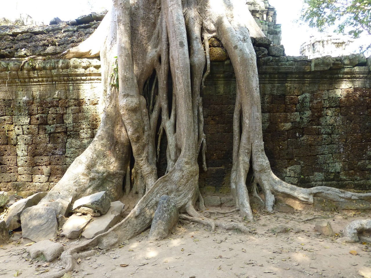 壞男孩新動態(tài)，重塑與超越之旅