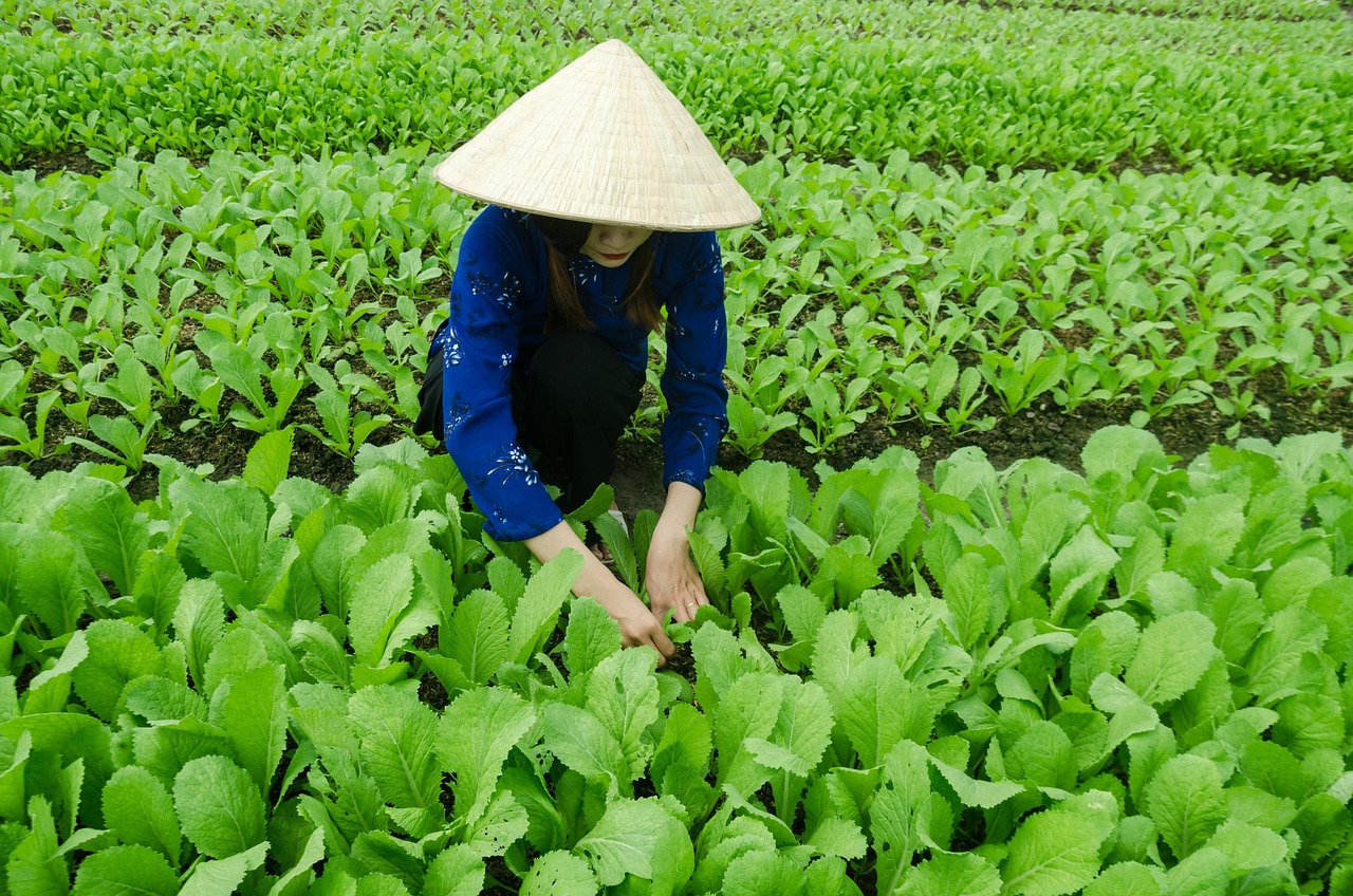 荊州最新動(dòng)態(tài)，城市發(fā)展與未來展望