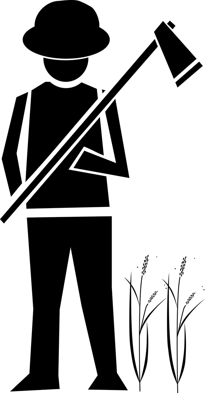 幻想農(nóng)場新動態(tài)，探索未來農(nóng)業(yè)創(chuàng)新領(lǐng)域的新征程