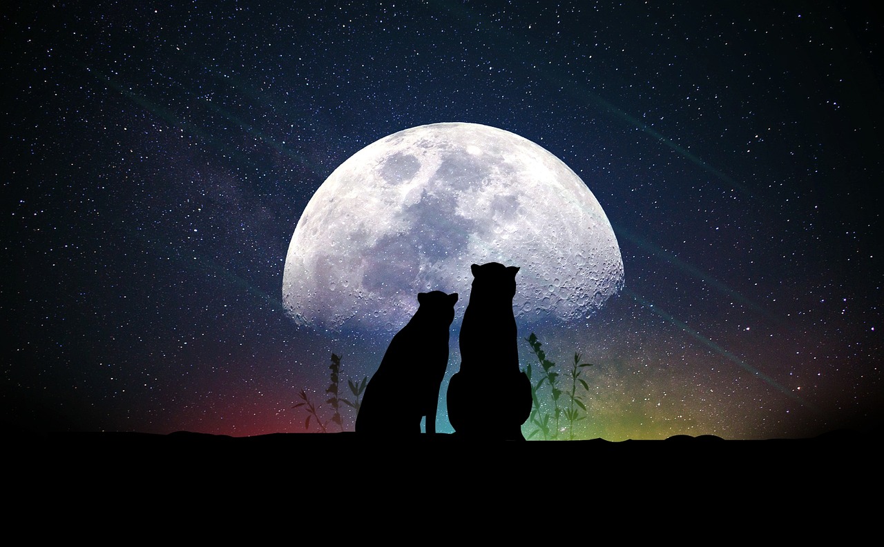 窺探明星童年照，時(shí)光倒流，星路歷程的起點(diǎn)探索