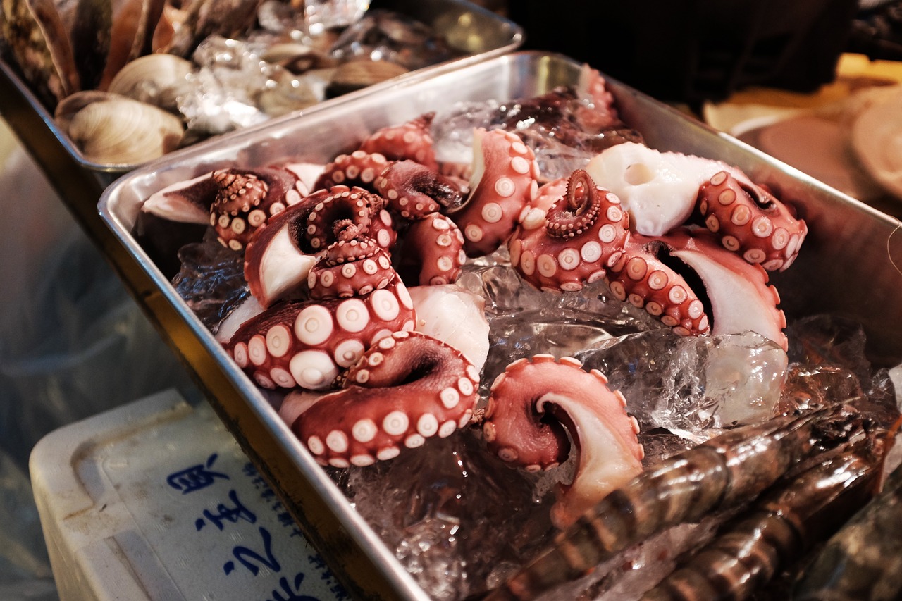 探索海洋美味之旅，最新海鮮美食視頻大放送