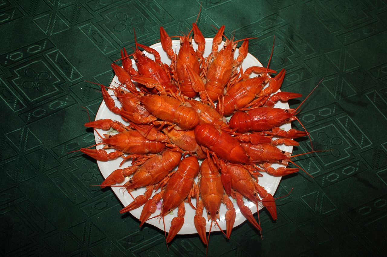 革新養(yǎng)魚技術(shù)，提升養(yǎng)殖效益的最新卷養(yǎng)魚方法
