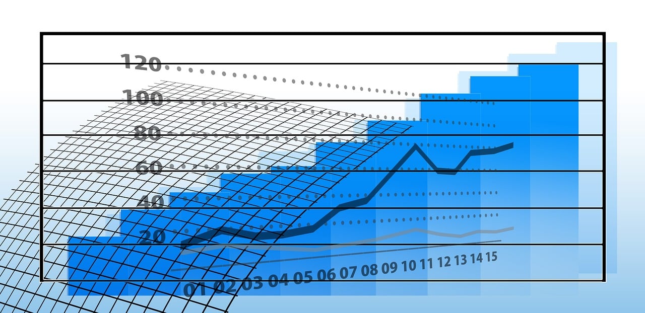 基金最新持倉深度解析，洞悉最新動態(tài)與策略調(diào)整