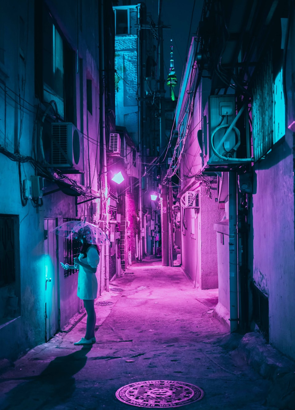 韓國(guó)電影瓣壇楓，探索之路與啟示之光