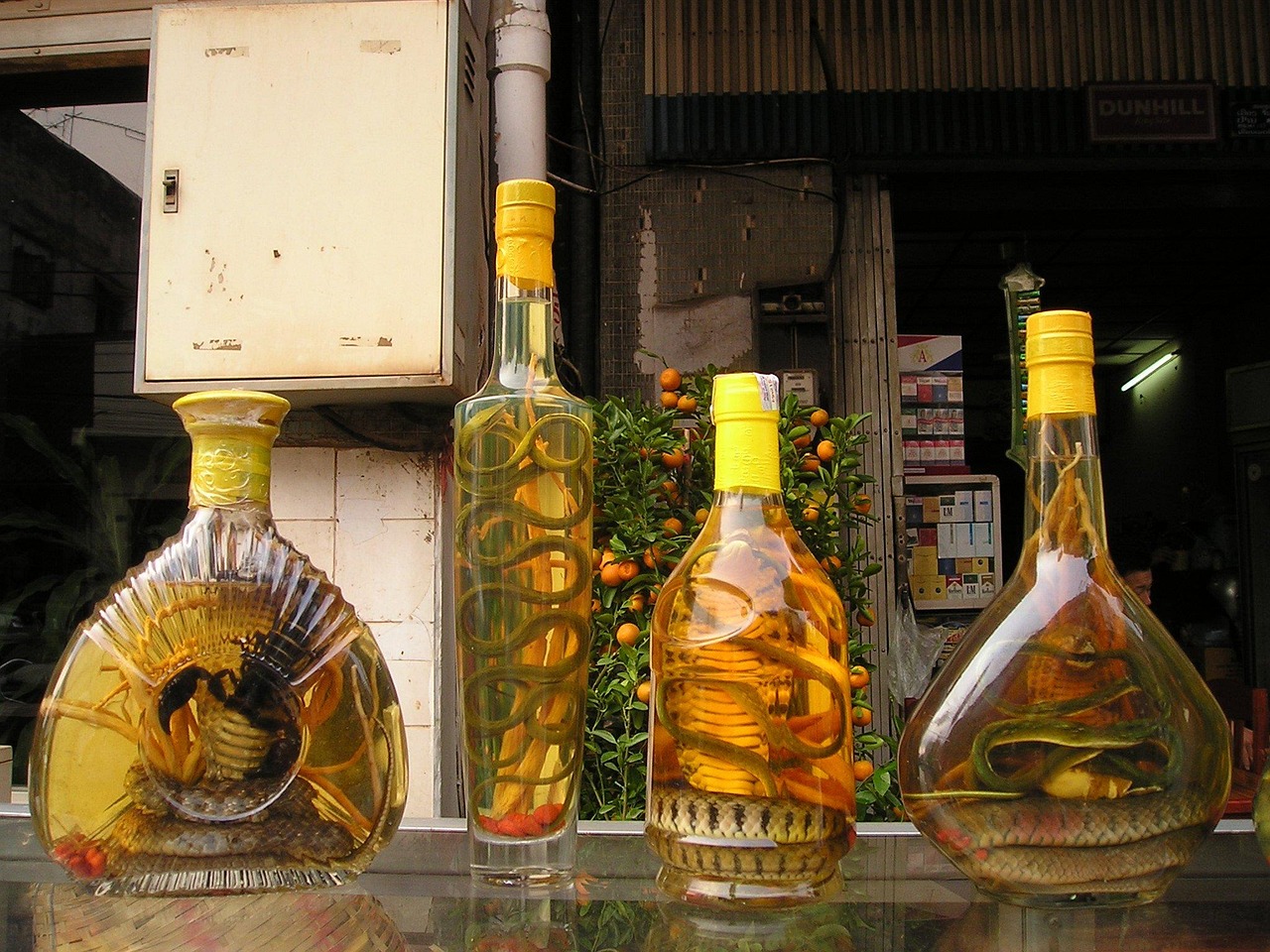 麟州坊酒價格大全，最新價格一覽表