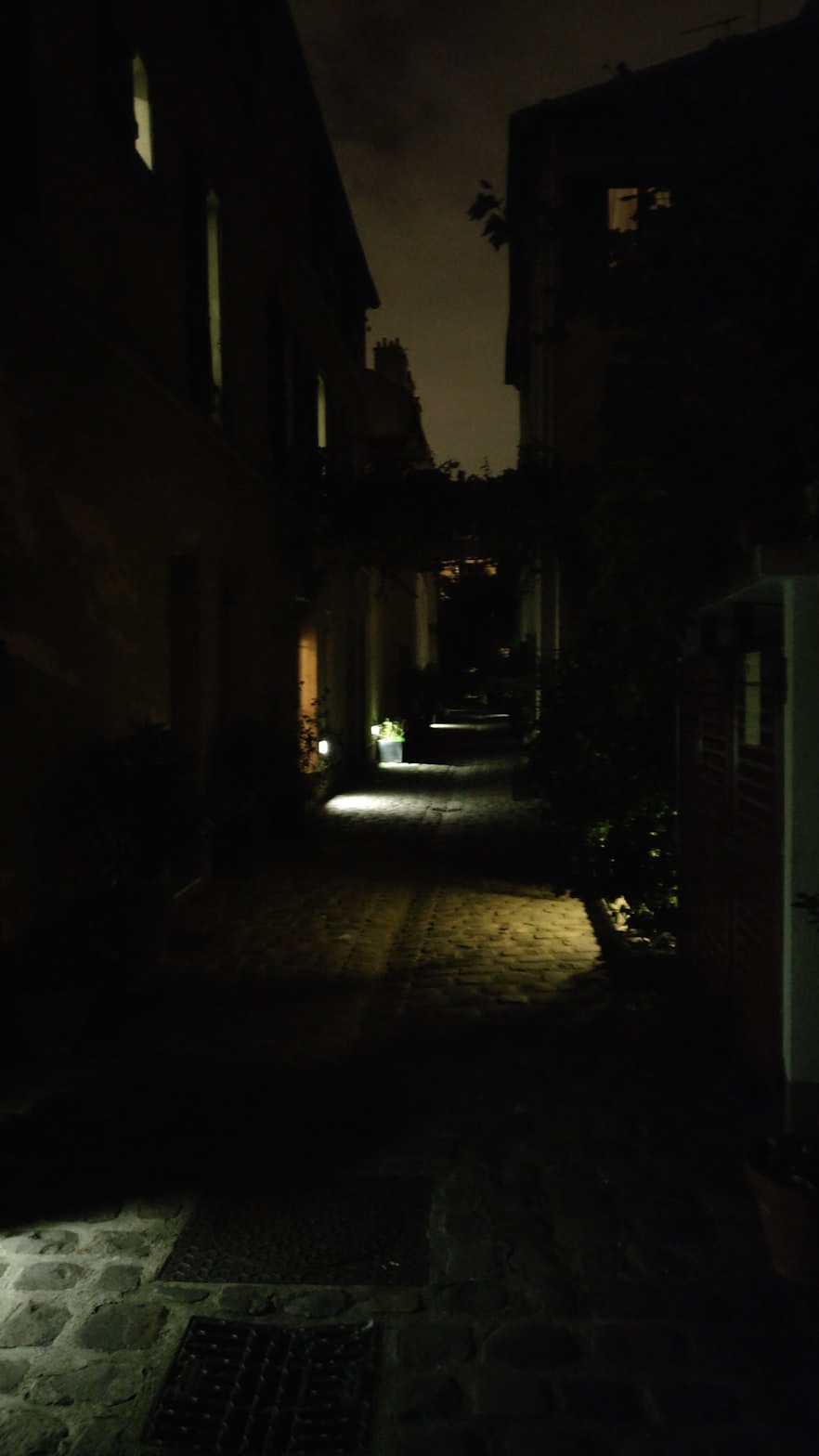 圣墟新章節(jié)午夜發(fā)布，夜的狂歡與期待之巔
