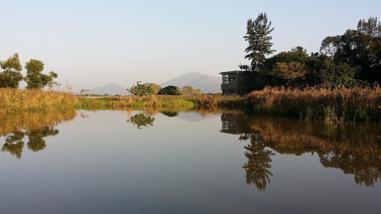 涼灣濕地公園最新動(dòng)態(tài)消息公開