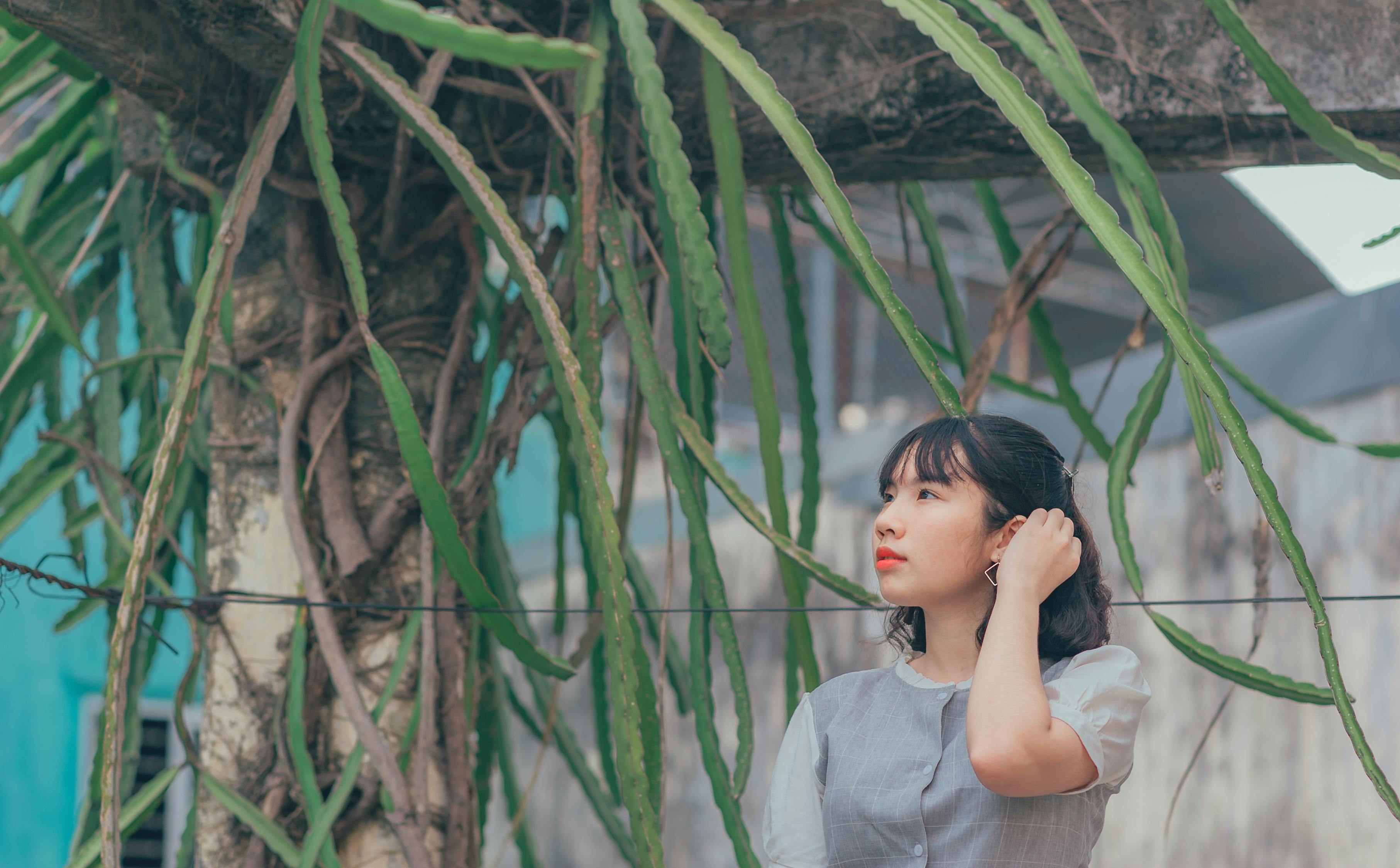 港臺(tái)明星，娛樂圈中的璀璨之星