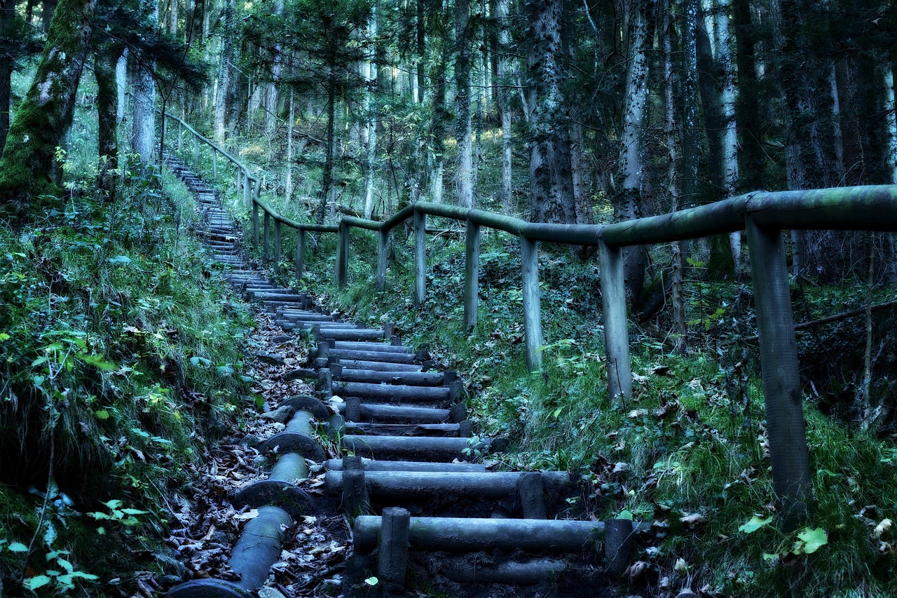最新迷蹤，未知神秘之旅的探險(xiǎn)之旅