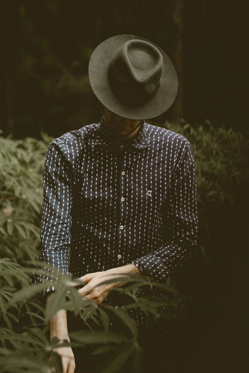 娛樂圈真相揭秘，明星背后的黑暗與反思